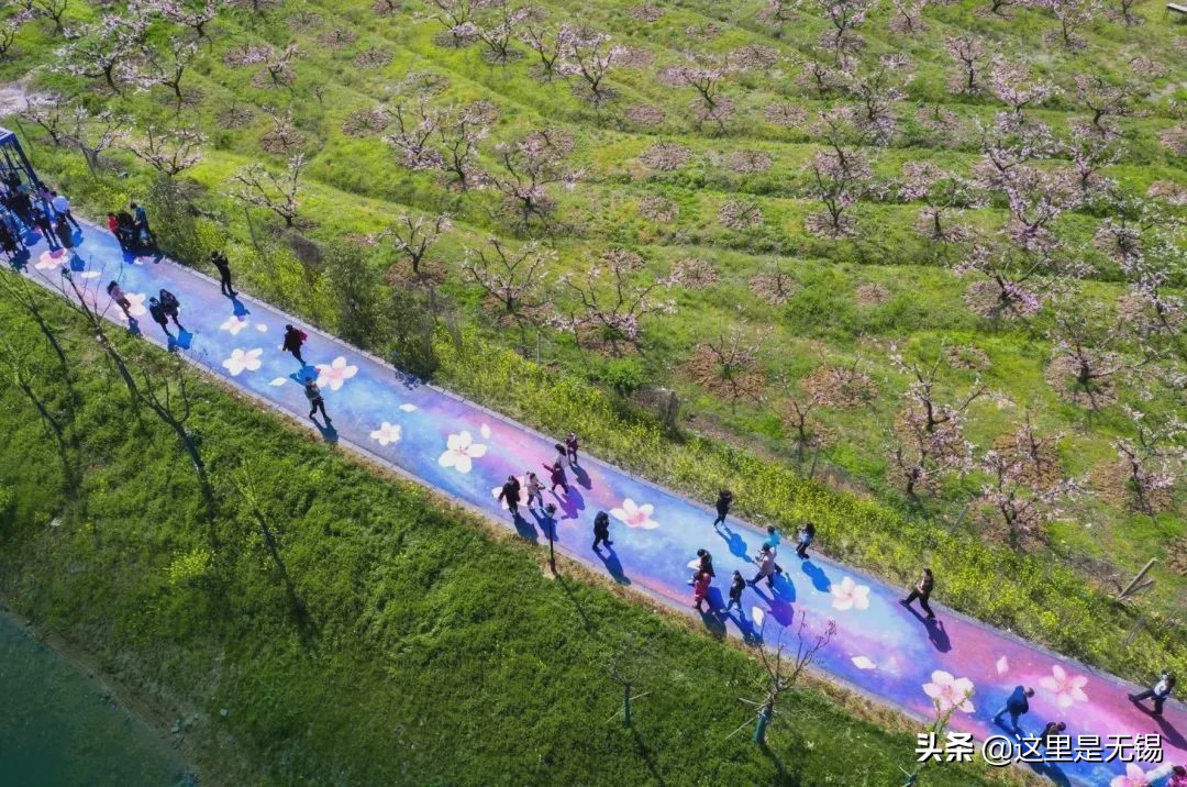 无锡网红打卡地彩虹跑道,无锡古运河健身步道