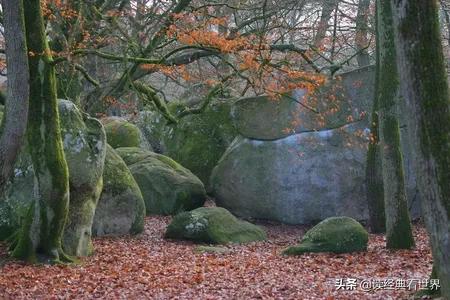 瑞士10日游枫丹白露,游法国枫丹白露宫