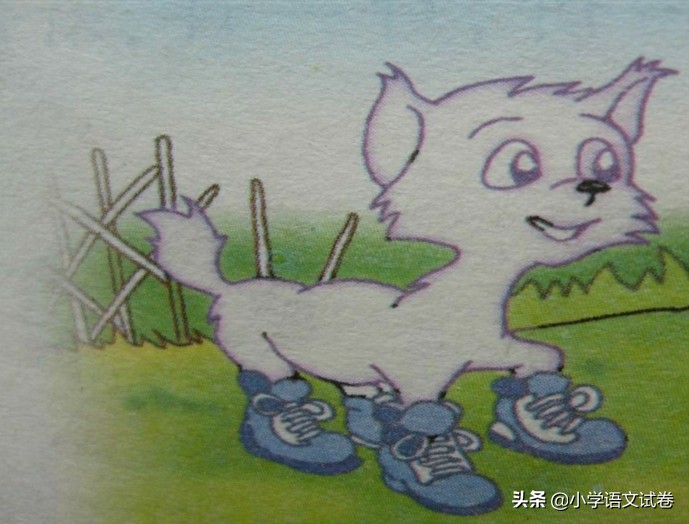 一年级小猫咪穿鞋子阅读理解答案,小猫咪穿鞋子故事阅读