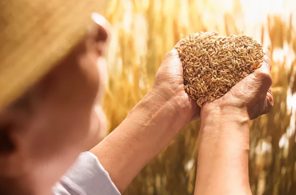 美妈美颜先清肠胃,消食化积来碗三仙茶