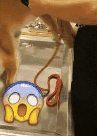 搞笑gif开心一刻单身也挺好,搞笑gif开心视频