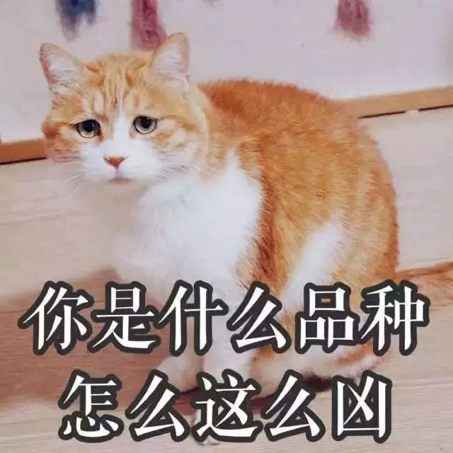 跟直男谈恋爱是种怎样的体验,直男和直男交朋友会怎么样