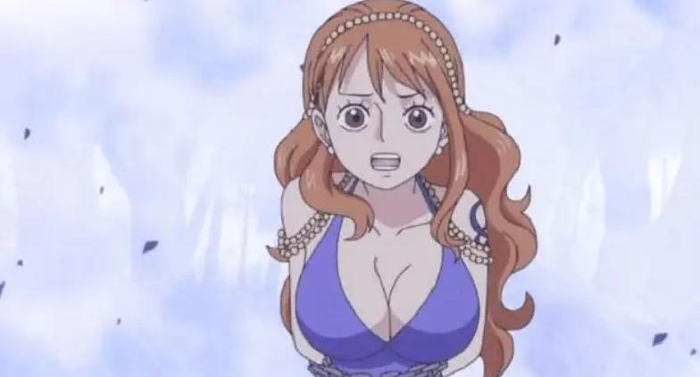 海贼王所有女性人物都有谁,娜美在海贼王里的地位