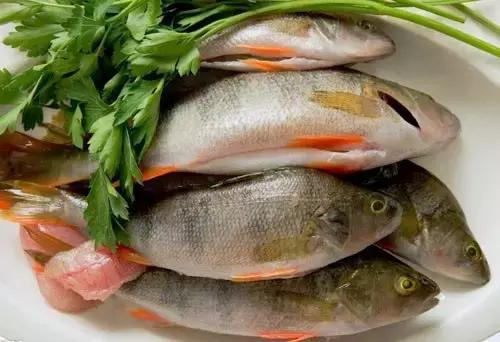 寿光羊口开海,寿光羊口哪个海鲜最好