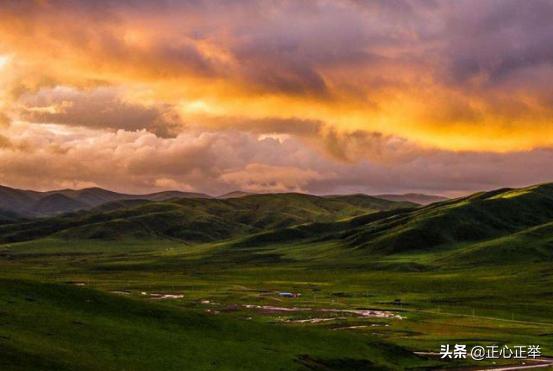 有效的人文教育,为什么要进行人文教育