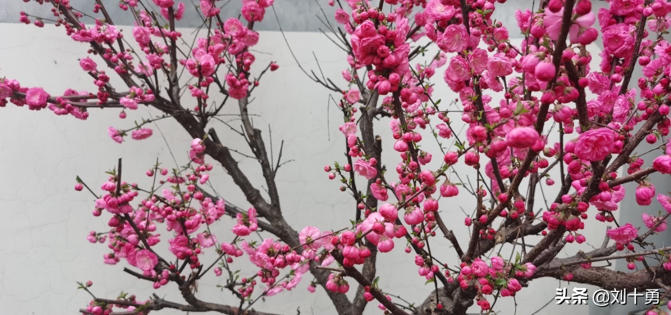 穹顶之下谁又能独善其身,穹顶之下保护人类