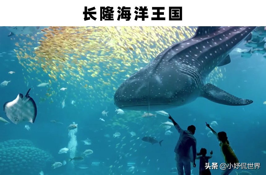 全球最大的三个大型水族馆,世界最著名的淡水水族馆