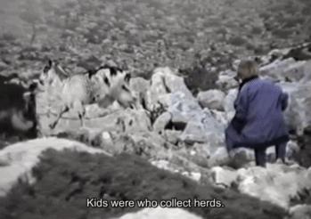 莫德里奇精彩足球瞬间,从放羊娃到金球奖