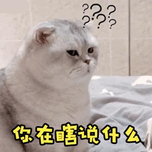 杨女士买包五万元被骗,杨女士网上购物