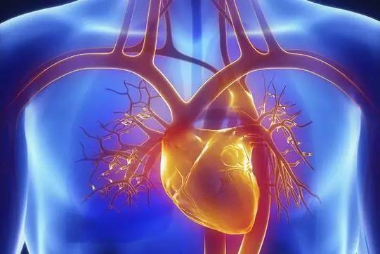 卧龙区第一医院体检,健康科普测一测