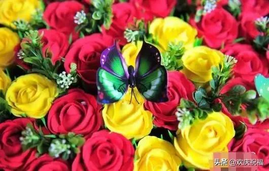 明日七夕，777幸福花送给群里所有的朋友，谁打开，谁幸福