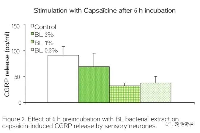 言过其实，还是名副其实？揭开二裂酵母发酵产物溶胞物的神秘面纱