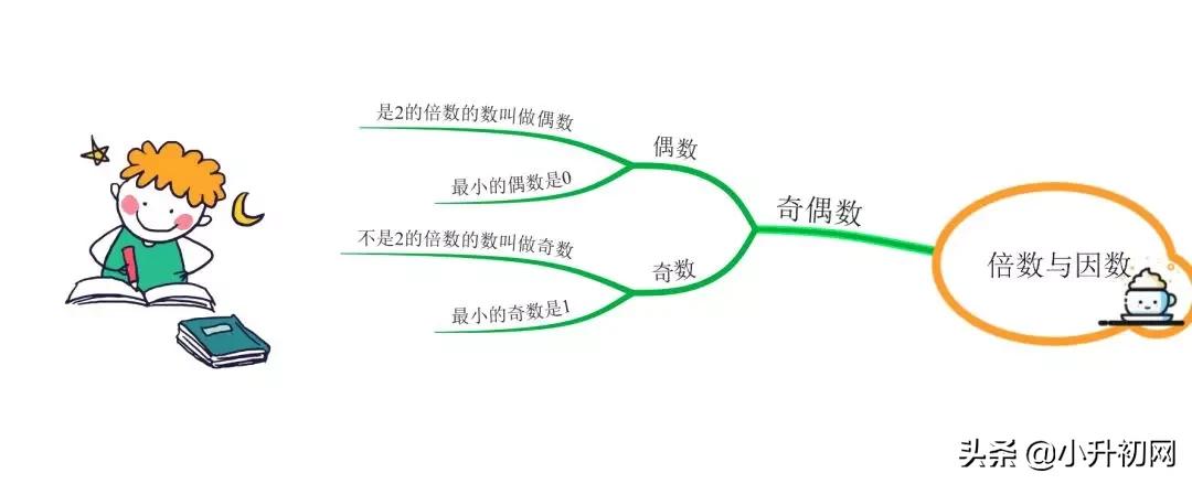 数学思维导图倍数与因数,小学生数学思维导图简单漂亮