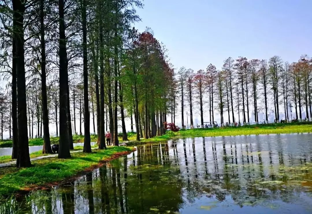 武汉景点免费网上预约,武汉景区免费景点推荐