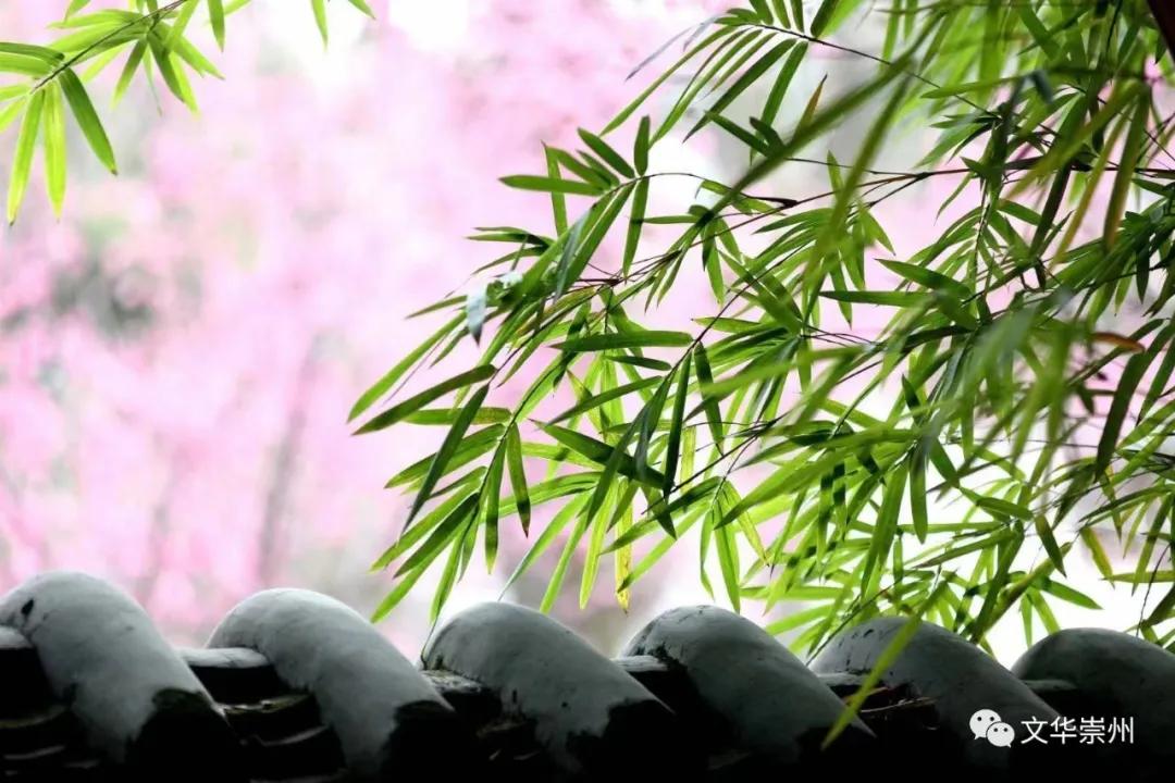 崇州罨画池春节,成都周边一日游崇州罨画池