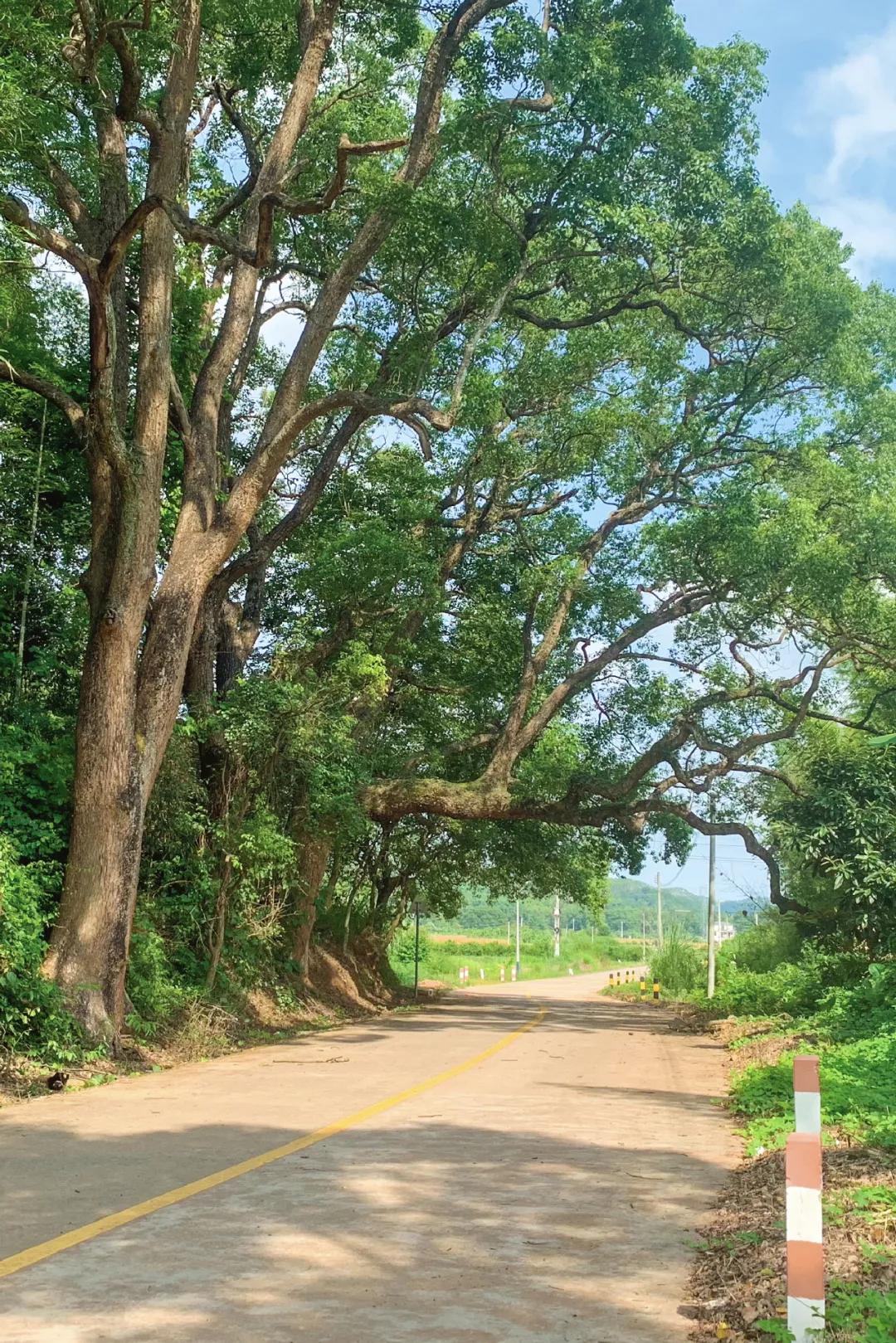 不能错过的游览胜地,不能错过的自驾游