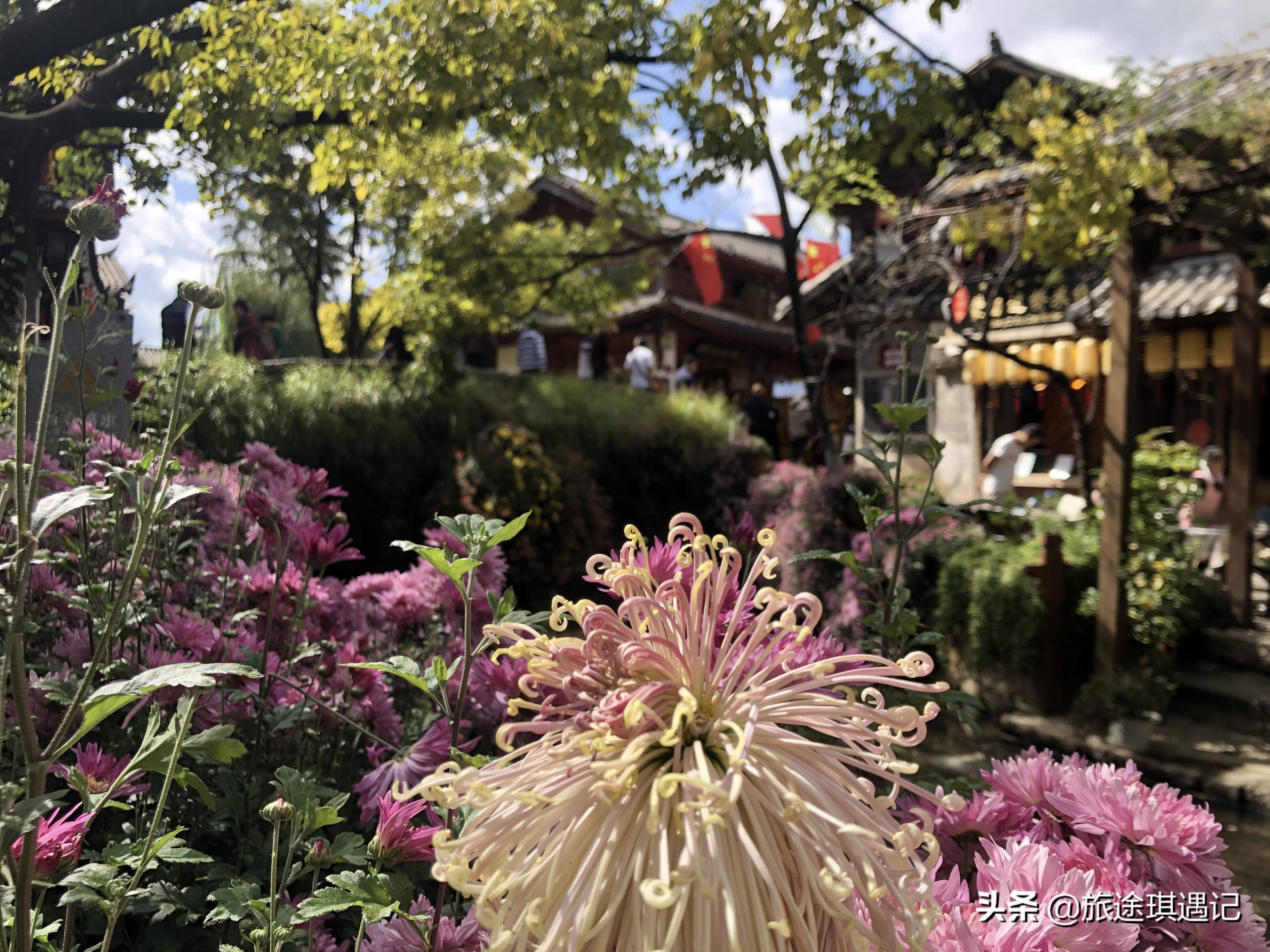 去云南要怎么玩才好呢,去云南玩最省钱的方法是什么