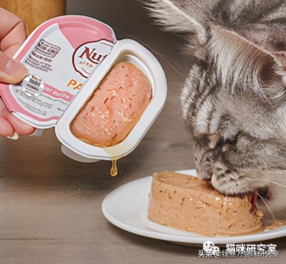 美士一分为二主食罐，营养比新西兰罐好太多，性价比优秀