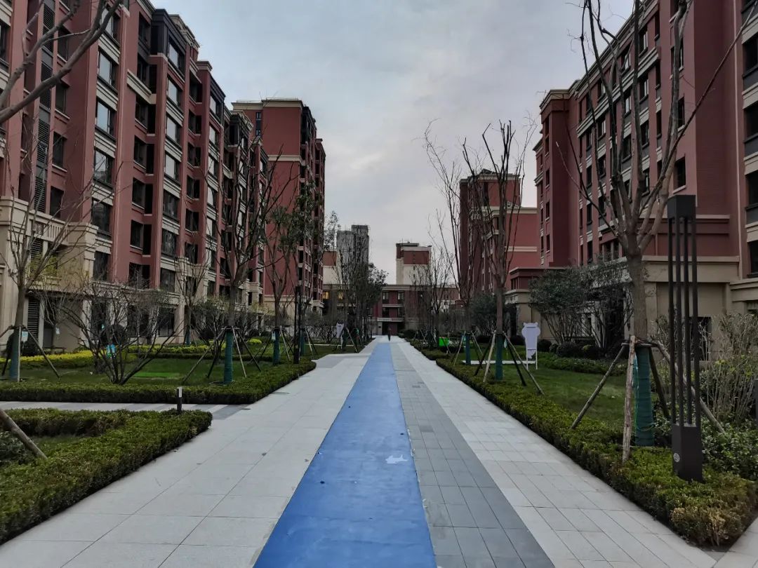 塘沽湾6号层高多少,塘沽湾小区