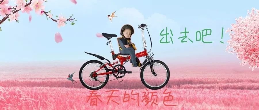 目前最流行的折叠车,气势十足的车