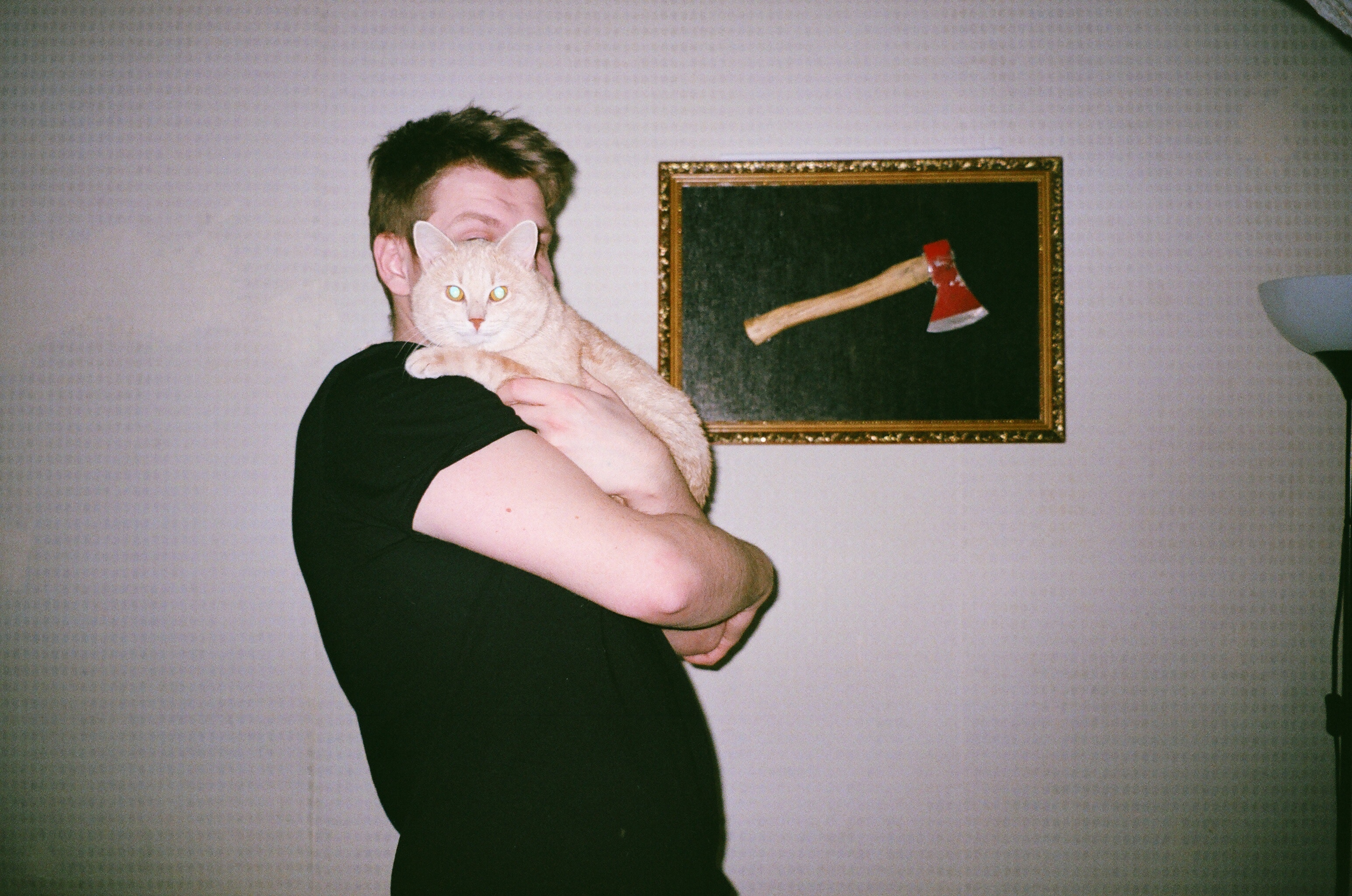 如何才是正确的抱猫姿势,怎么抱猫才是正确的姿势