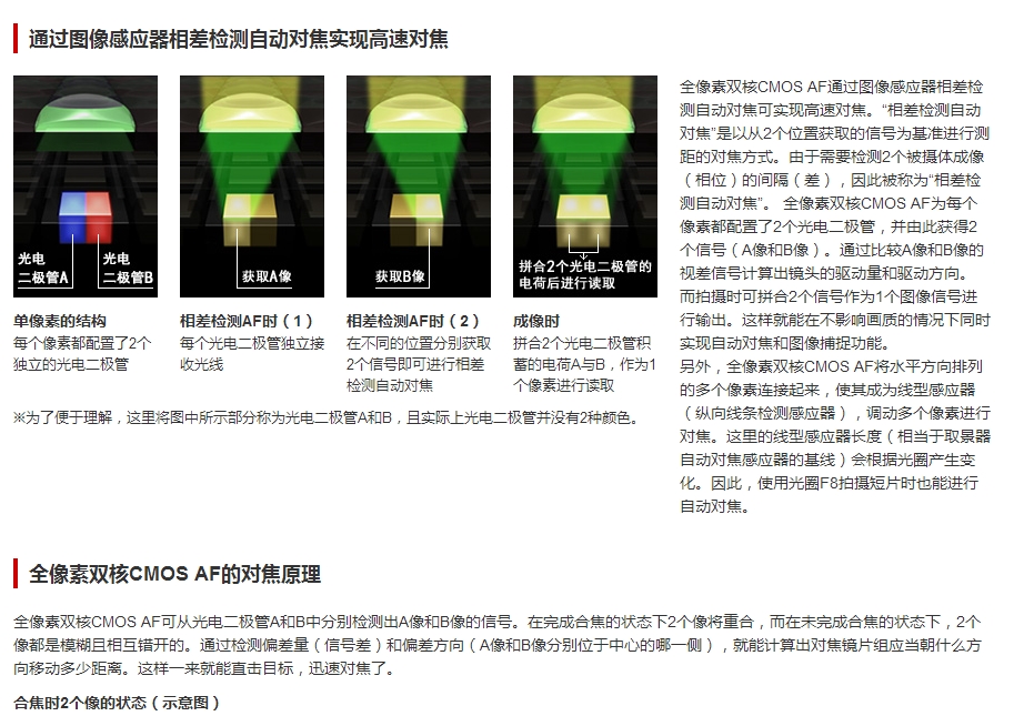 初学摄影入门相机推荐,初学摄影怎么选择全画幅单反相机