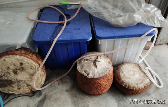 食话食说食品安全知识,食品安全必知