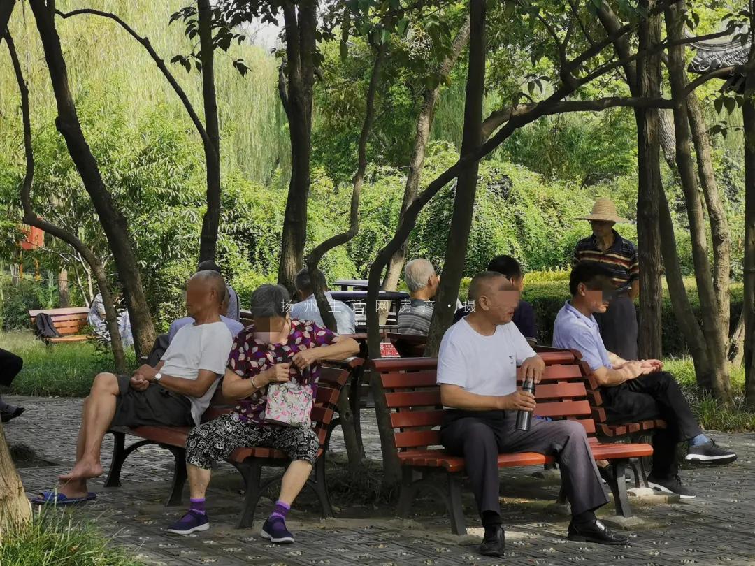 扬州的老城区有什么好玩的,老城区新增商业