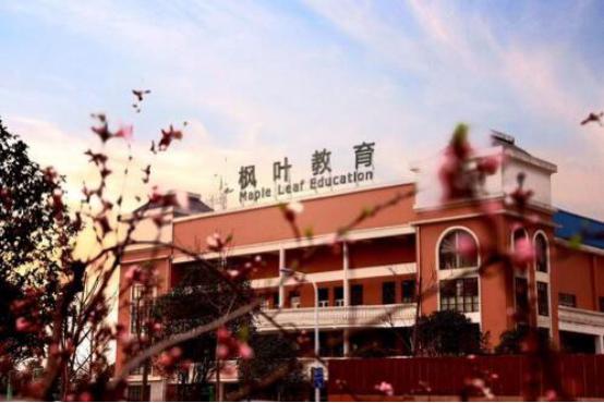 武汉3大贵族学校,武汉贵族小学学校价位