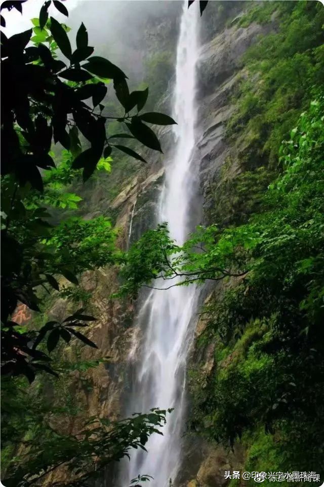 我叫夜明，活了一千多年了