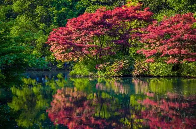 第一次来苏杭旅游必看本地人建议,新手玩游戏的必看