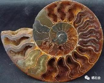 德令哈戈壁滩捡石头小视频,捡石头一般都到哪里的戈壁去捡呢