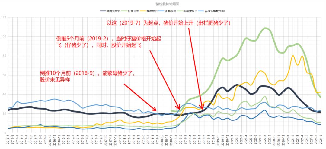 新手上路：猪肉股学习笔记|加减杂谈