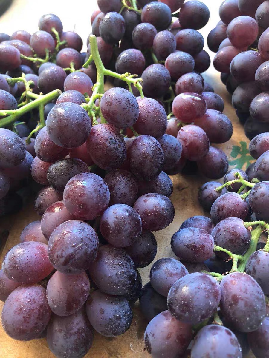 这6种水果不容错过,这6种水果记得多吃