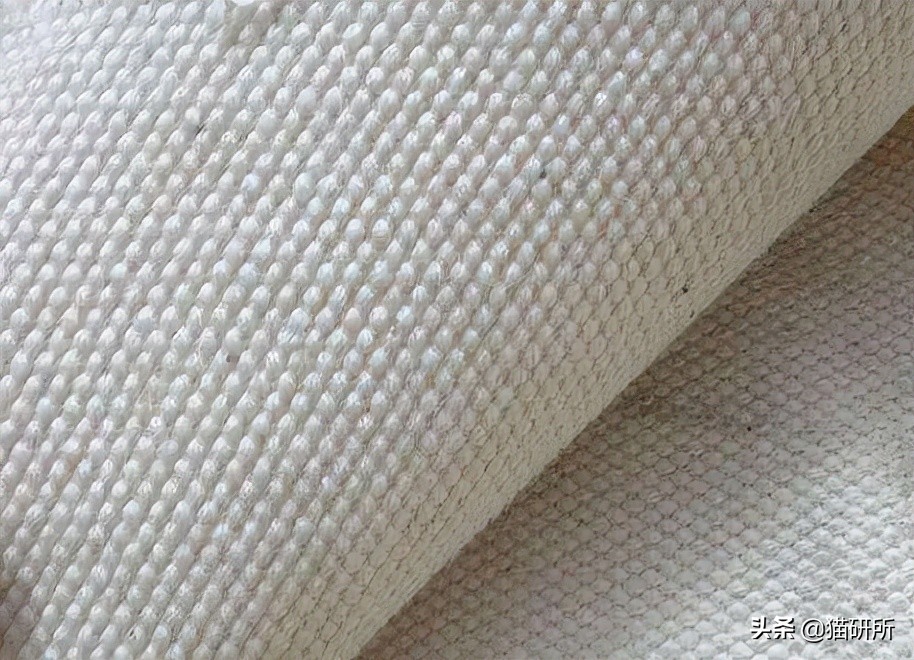 怎么惩罚猫咪挠沙发,猫咪不会挠坏的沙发