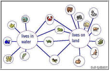 思维导图简单大方,思维导图不容错过