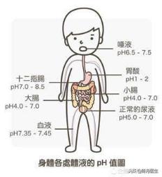 酸碱体质理论骗局揭露,欧阳先生骗局大揭秘