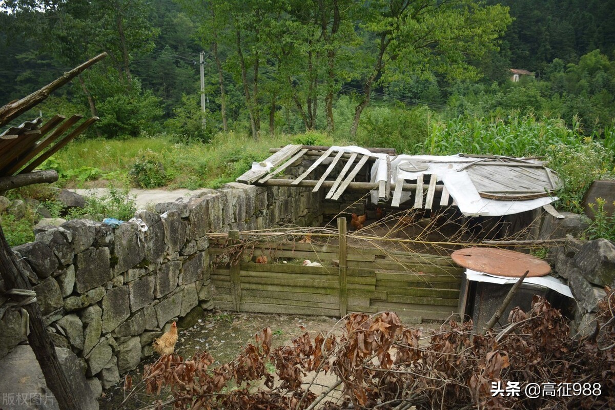 小柳舍己救人错过女友生日party多大的事儿,原创