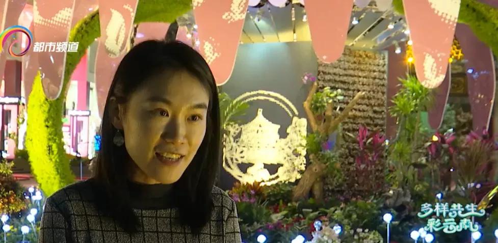 昆明100个立体花坛位置,昆明cop15立体花坛