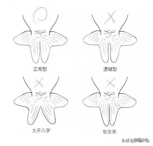 金鱼要怎样买才不会被坑,买金鱼的时候如何选才好