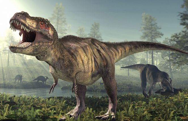 恐龙世界ar书,恐龙ar书