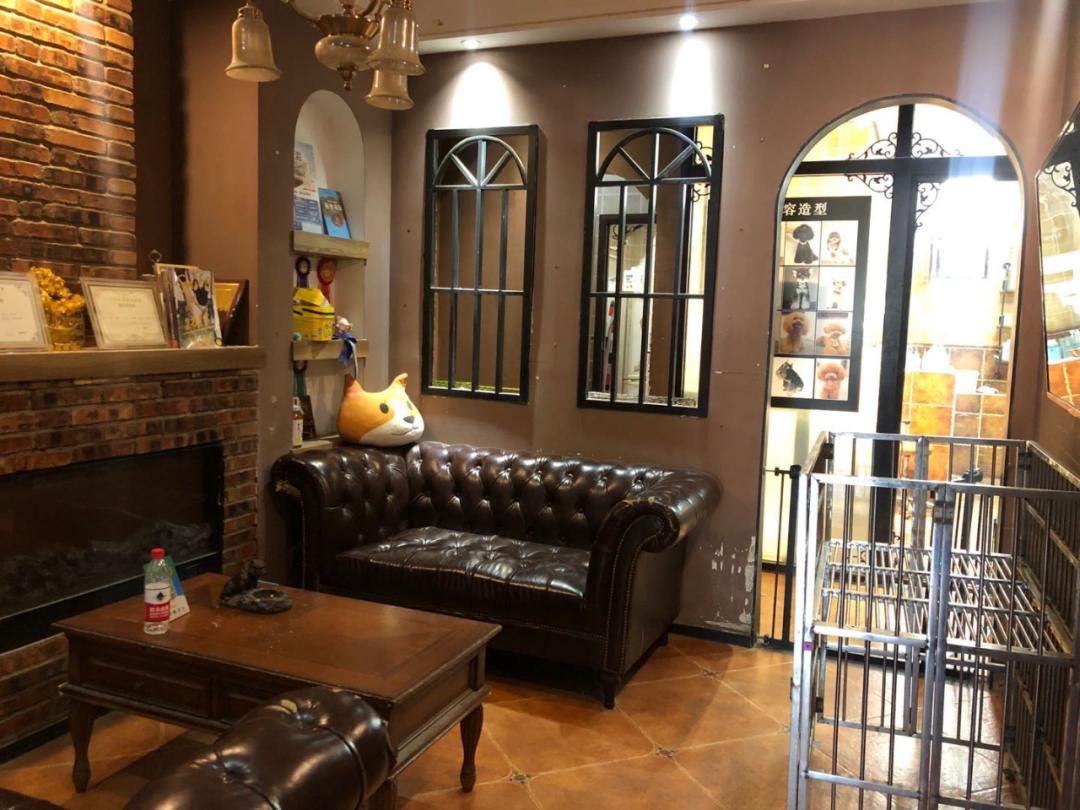 北京月流水超百万的猫狗活体专卖店，都有啥套路？