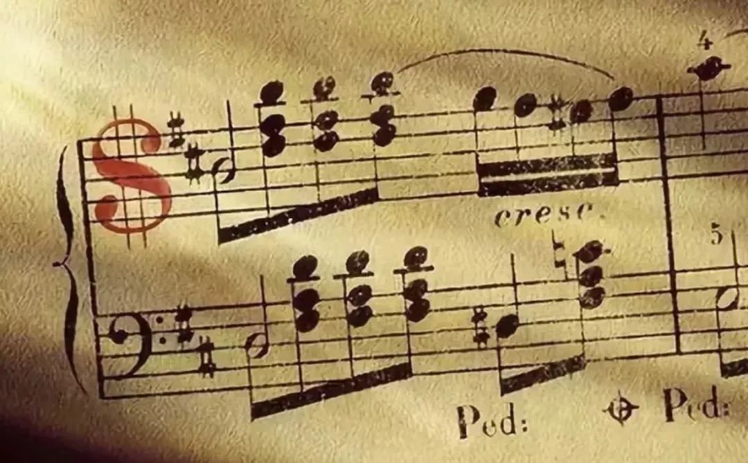 一般人不知道的冷知识笑哭,从零开始学钢琴的十大秘诀