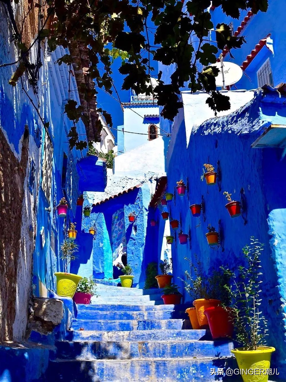 刚公布的潘通年度色怎么玩？