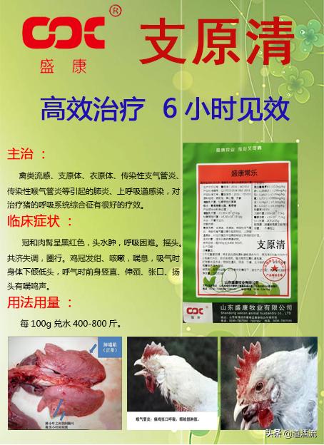 肉鸭全程用药保健程序