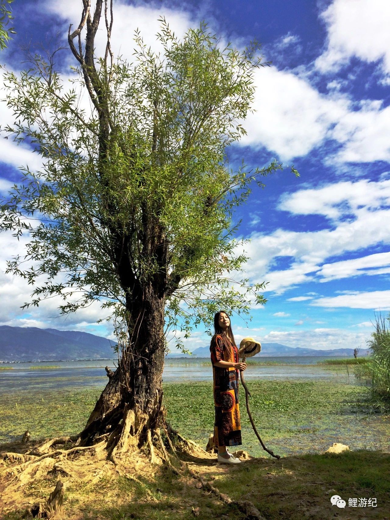 环海公路好看的图片,西南风景图片横图