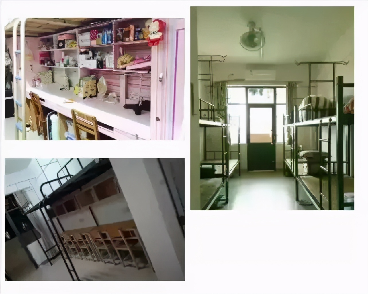 广东省排名前十的高职院,广东深职学院最低排名