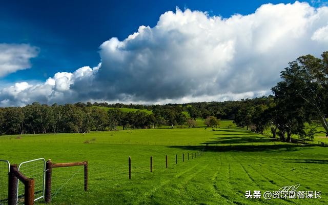 写给王焯冉家人的一封信,写给亲人的一封信原生家庭