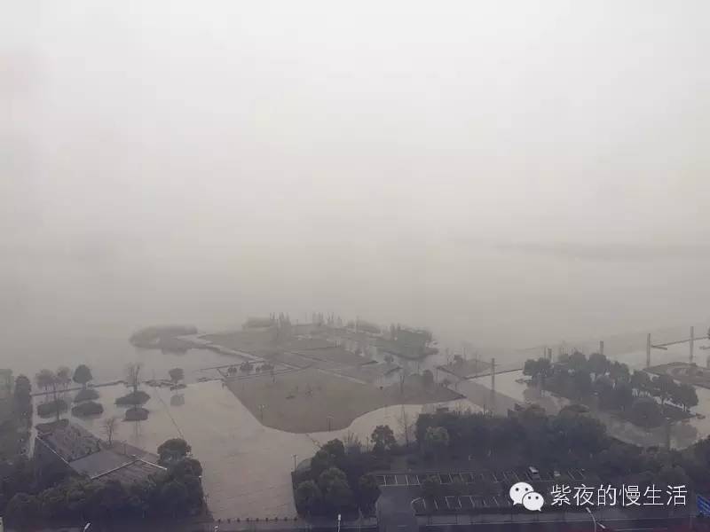 避开了人潮拥挤去哪都是风景,避开人潮打卡常州风景线