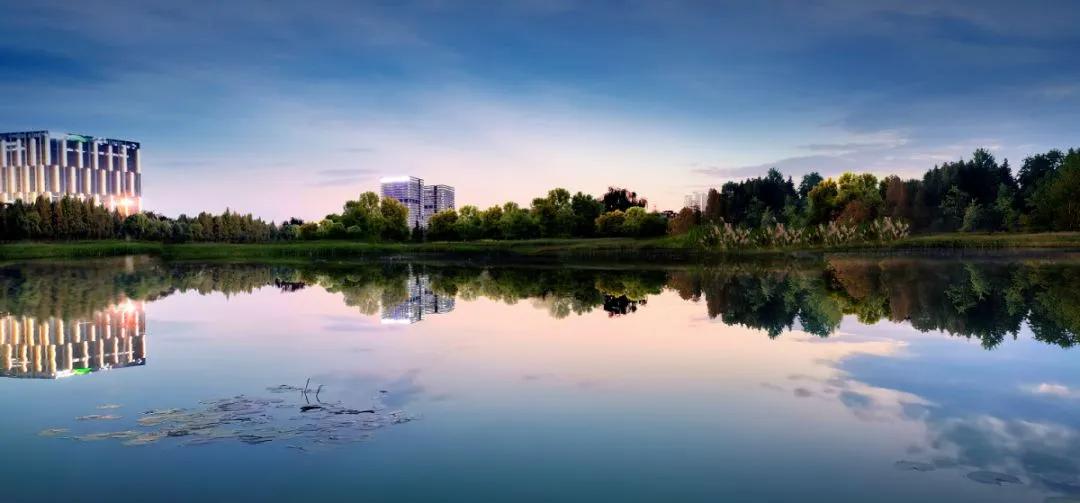 软件新城是啥,软件新城五年以后会怎样